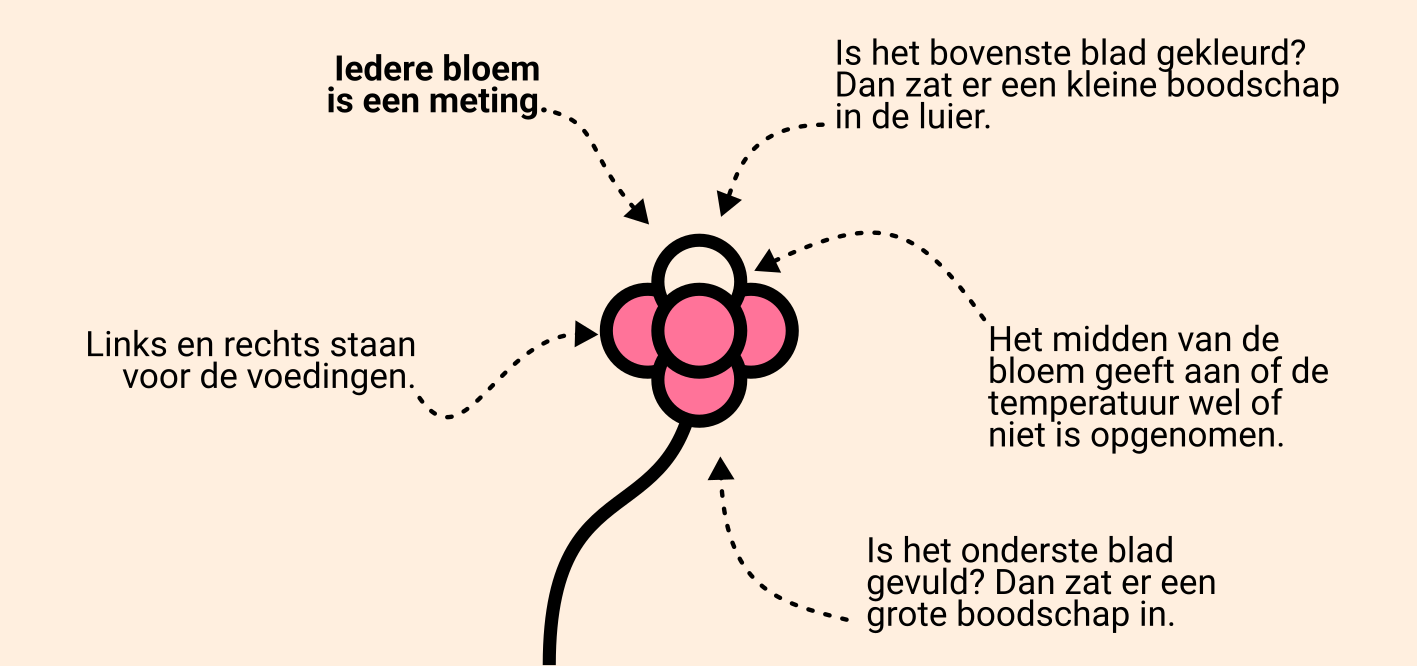 boekenposter explainer zoom